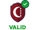 Seal for ALSI-062403015-FI6